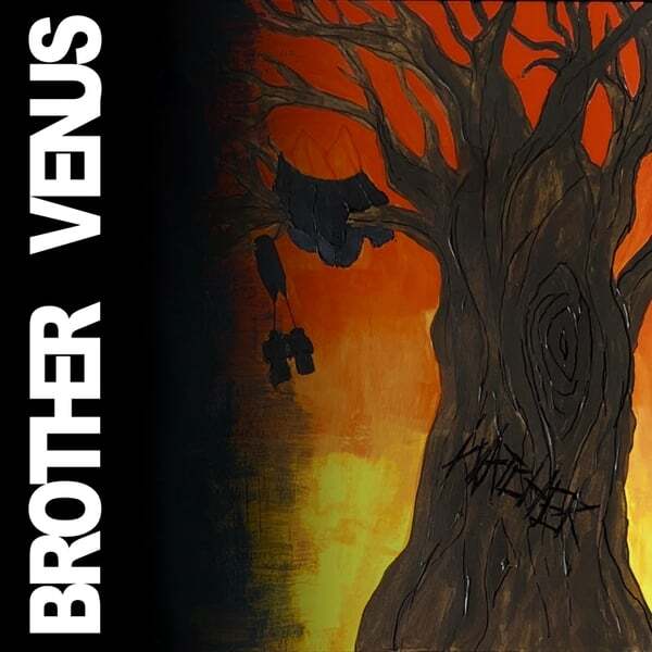 Cover art for Watcher