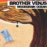 Woodgrain Ocean